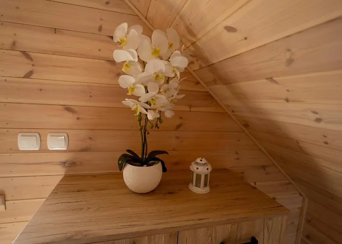 Przystan Prázdninový dům *